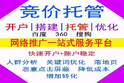 行业领先的SEM推广代运营公司案例集锦
